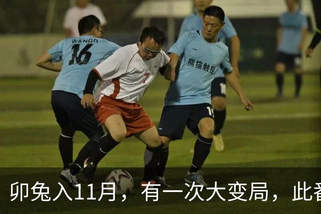 卯兔入11月,有一次大变局,此番转折宜静不宜动,心中有数别声张