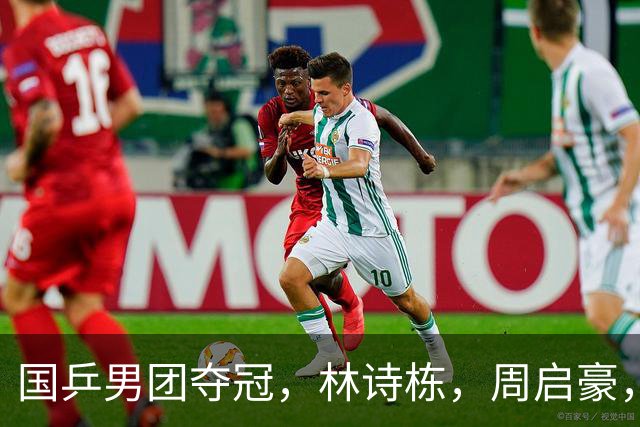 国乒男团夺冠，林诗栋，周启豪，向鹏各拿1分